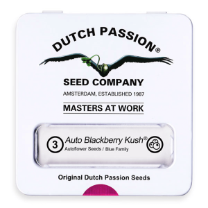 Dutch Passion Auto Blackberry Kush | Automatik | 3 Samen