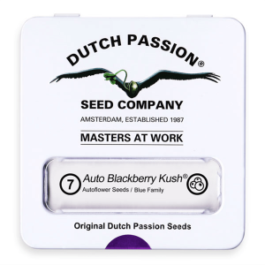 Dutch Passion Auto Blackberry Kush | Auto | 7er