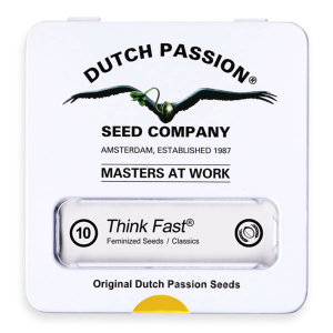 Dutch Passion Think Fast | Fem | 10er