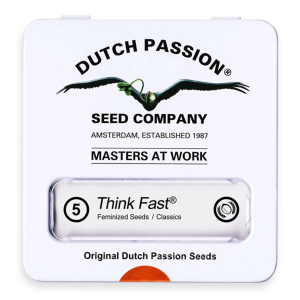 Dutch Passion Think Fast | Fem | 5er