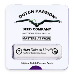 Dutch Passion Auto Daiquiri Lime | Auto | 7er