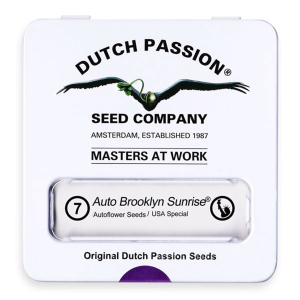 Dutch Passion Auto Brooklyn Sunrise | Automatic | 7 seeds