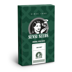 Sensi Seeds Shiva Skunk | Regular | 10 seeds