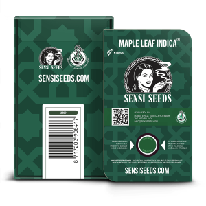 Sensi Seeds Maple Leaf Indica | Regulär | 10 Samen