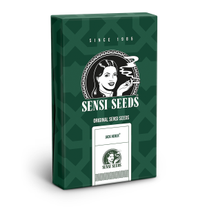 Sensi Seeds Jack Herer | Regulär | 10 Samen