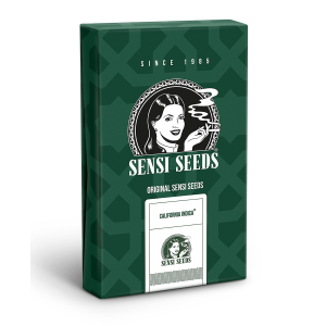 Sensi Seeds California Indica | Regular | 10 seeds