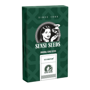 Sensi Seeds Mr.Nice G13 x Hash Plant | Regular | 10 seeds