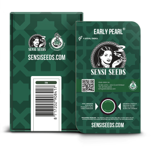 Sensi Seeds Early Pearl | Regular | 10 seeds